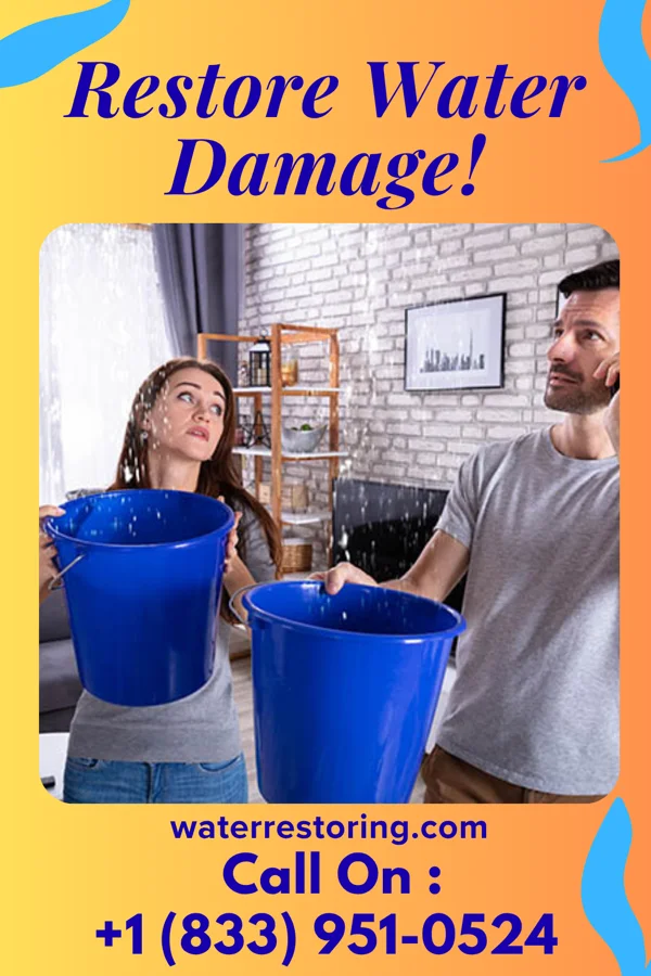 water restoration Prime Water Damage Co Waverly