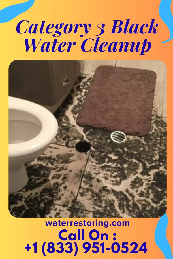 Category 3 Black Water Cleanup in Waverly, TN