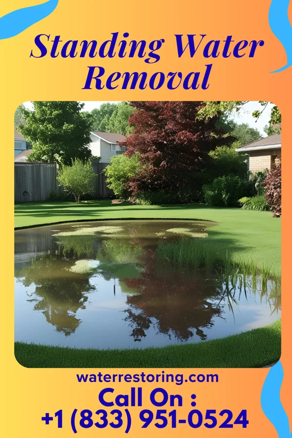 Standing Water Removal in Waverly, TN